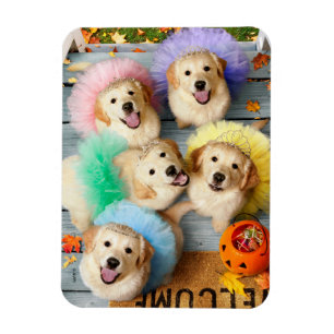 Golden Puppies Trick oder Treten Magnet