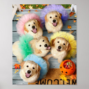 Golden Puppies Trick oder Treten Poster
