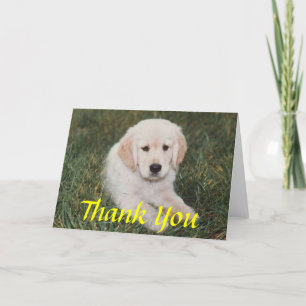 Golden Puppy danke Karte
