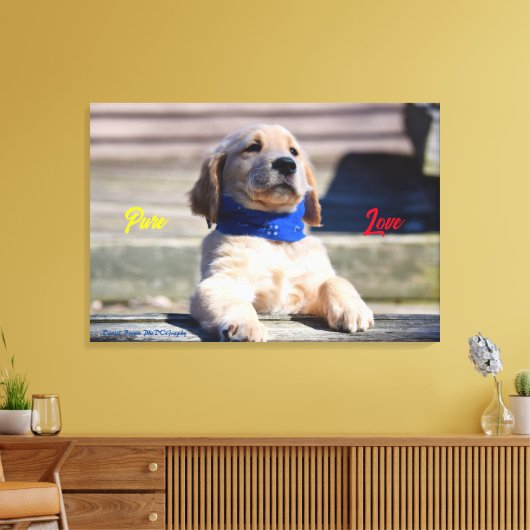 Golden Puppy mit Bandana - Canvas Print Leinwanddruck (Insitu (Wohnzimmer))