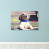 Golden Puppy mit Bandana - Canvas Print Leinwanddruck (Insitu (Holzboden))