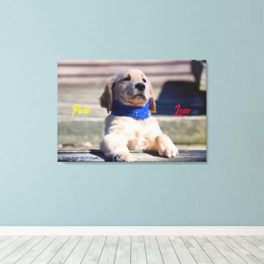 Golden Puppy mit Bandana - Canvas Print Leinwanddruck (Insitu (Holzboden))