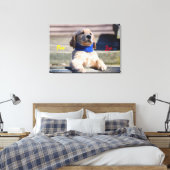Golden Puppy mit Bandana - Canvas Print Leinwanddruck (Insitu (Schlafzimmer))