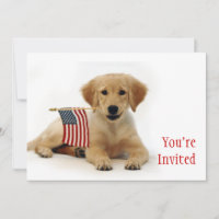 Golden Puppy und American Flag