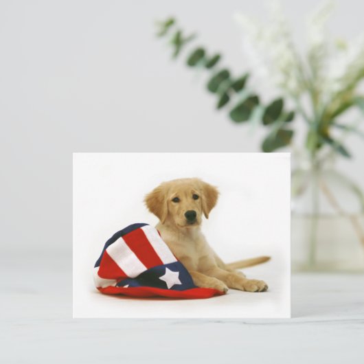 Golden Puppy und Uncle Sam Hat Postkarte (Stehend Vorderseite)