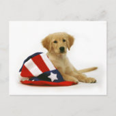 Golden Puppy und Uncle Sam Hat Postkarte (Vorderseite)