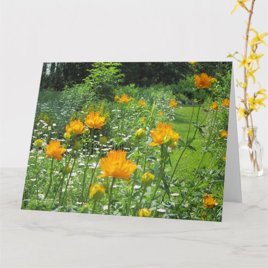 Golden Queen Trollius Karte (Gelbe Blume)