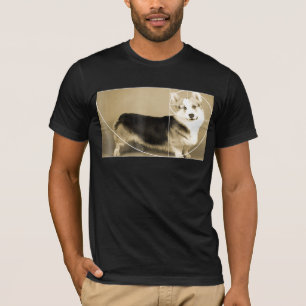 Golden Ratio Corgi Fibonacci Spiral Math T-Shirt