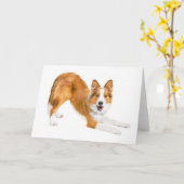 Golden Red Border Collie Notecard Karte (Gelbe Blume)