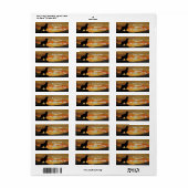 Golden Retirever Cool Return Address Labels (Vorne)