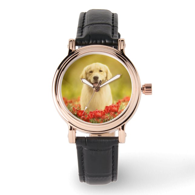 Golden Retirever in Roten Blume Armbanduhr (Vorderseite)
