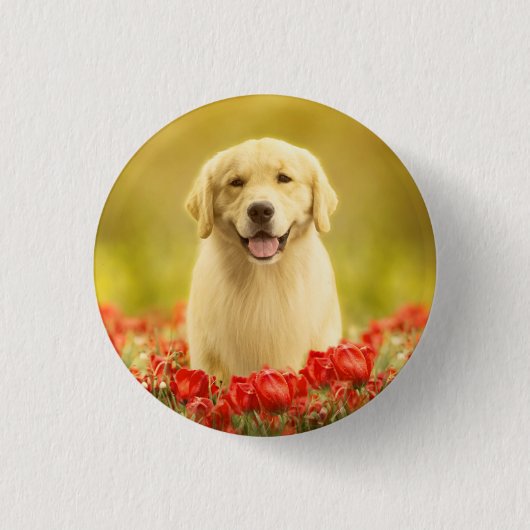 Golden Retirever in Roten Blume Button (Vorderseite)