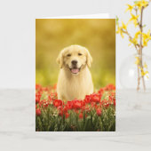 Golden Retirever in Roten Blume Karte (Gelbe Blume)
