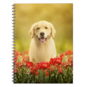 Golden Retirever in Roten Blume Notizblock (Vorderseite)