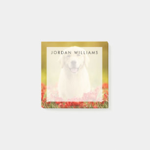 Golden Retirever in Roten Blume Post-it Klebezettel