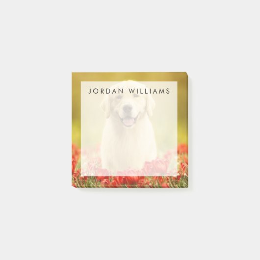 Golden Retirever in Roten Blume Post-it Klebezettel (Vorderseite)