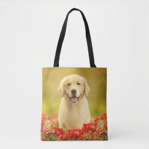 Golden Retirever in Roten Blume Tasche