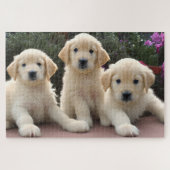Golden Retreiver Puppies Jigsaw Puzzle (Horizontal)
