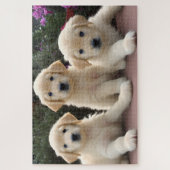 Golden Retreiver Puppies Jigsaw Puzzle (Vertikal)