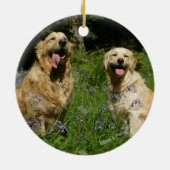 Golden Retreivers in Gras Keramik Ornament (Hinten)