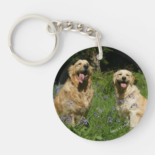 Golden Retreivers in Gras Schlüsselanhänger (Vorderseite)