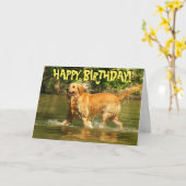 Golden Retrieve Geburtstagskarte Karte (Gelbe Blume)
