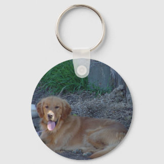 Golden Retrieve Schlüsselanhänger