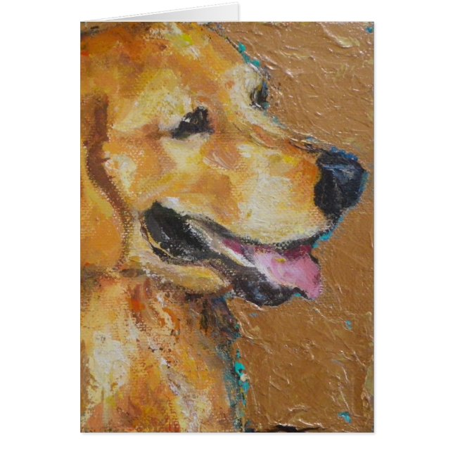 Golden retriever (Vorne)