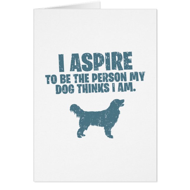 Golden retriever (Vorne)