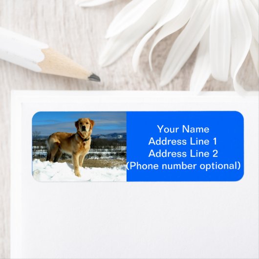 Golden Retriever (Insitu)