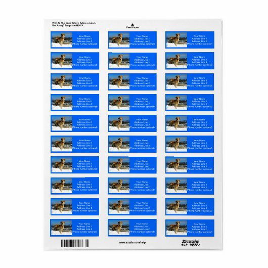 Golden Retriever (Vorne)