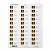 Golden Retriever (Vorne)