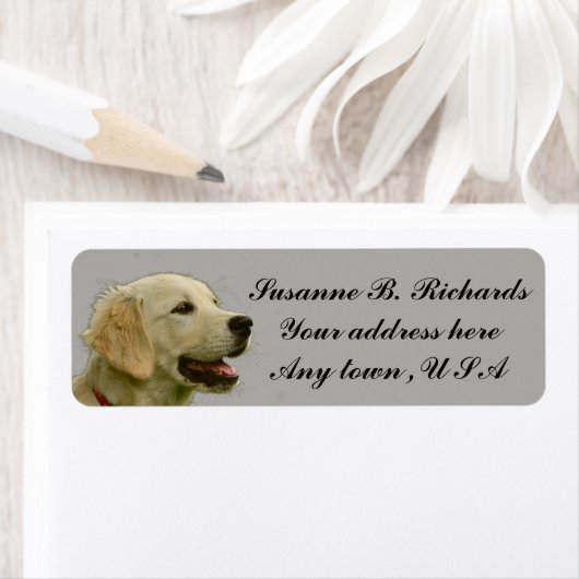 Golden Retriever (Insitu)