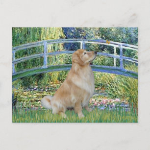 Golden Retriever 11 - Lilienteichbrücke Postkarte