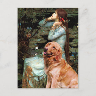 Golden Retriever 1 - Ophelia Sitzend Postkarte