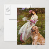 Golden Retriever 1 - Windblumen Postkarte (Vorne/Hinten)