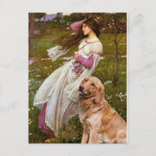Golden Retriever 1 - Windflowers Postkarte