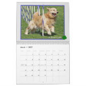 Golden Retriever 2015 Kalender (Mär 2027)