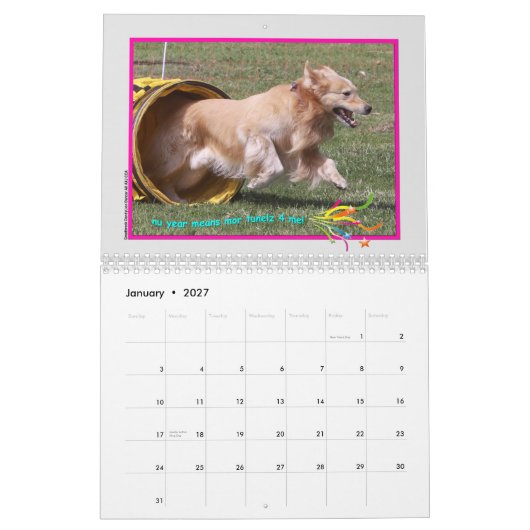 Golden Retriever 2015 Kalender (Jan 2027)
