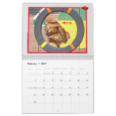 Golden Retriever 2015 Kalender (Feb 2027)