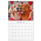 Golden Retriever 2025 Kalender (Feb 2026)