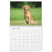 Golden Retriever 2027 Kalender (Mär 2027)