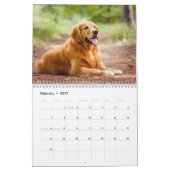 Golden Retriever 2027 Kalender (Feb 2027)