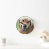 Golden Retriever-31 Runde Wanduhr (Zuhause)
