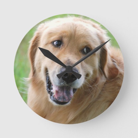 Golden Retriever-31 Runde Wanduhr (Vorderseite)