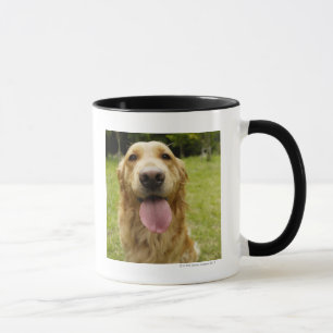 Golden retriever 4 tasse