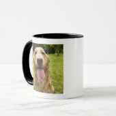 Golden retriever 4 tasse (Vorderseite Links)