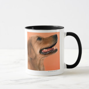 Golden retriever 7 tasse