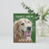 Golden Retriever Adoptier Rescue nicht kaufen Postkarte (Stehend Vorderseite)