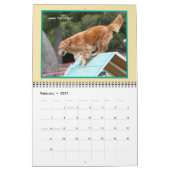 Golden Retriever Agility Calendar Kalender (Feb 2027)